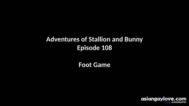 @stallion_bunny