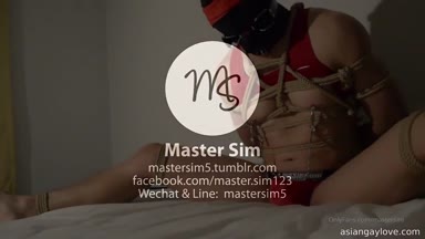 @mastersim