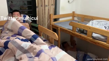 @muleicui