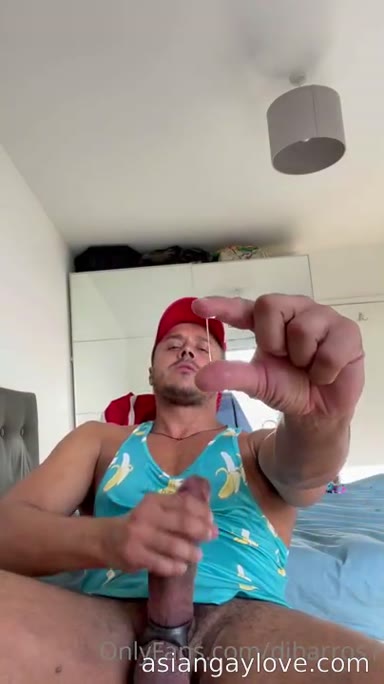 @dibarros1