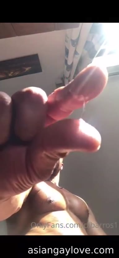 @dibarros1