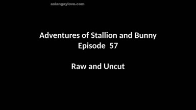 @stallion_bunny