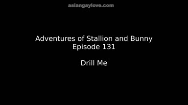 @stallion_bunny