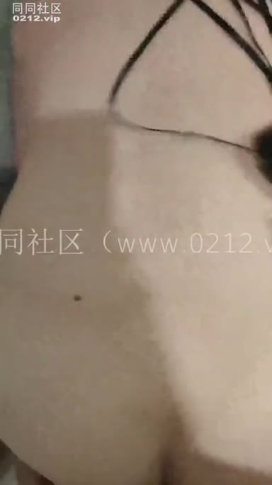China_bear