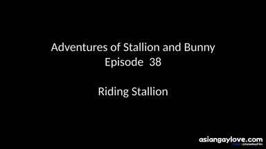@stallion_bunny