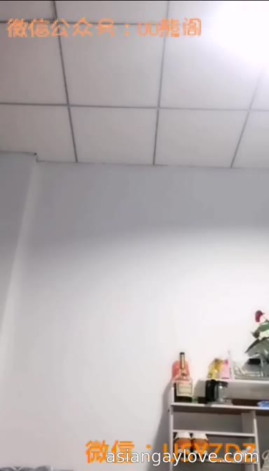 China_bear
