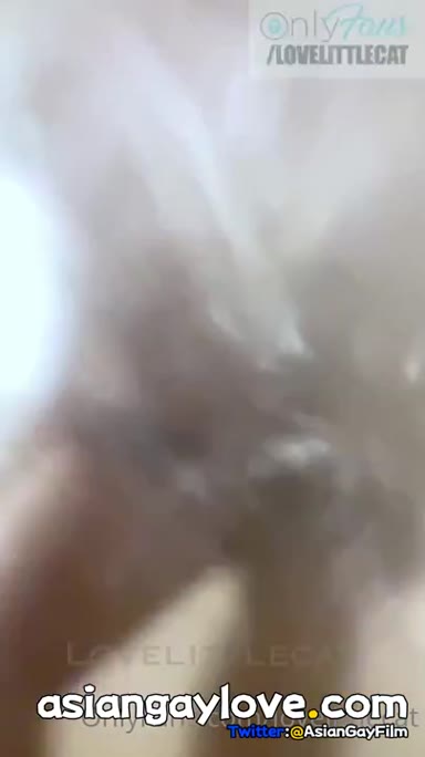 @lovelittlecat