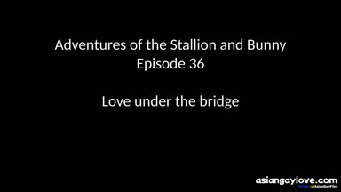 @stallion_bunny