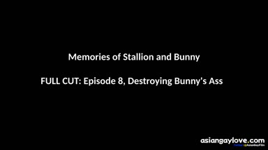 @stallion_bunny