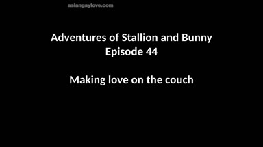 @stallion_bunny