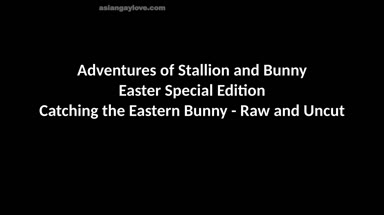 @stallion_bunny