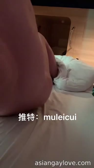 @muleicui