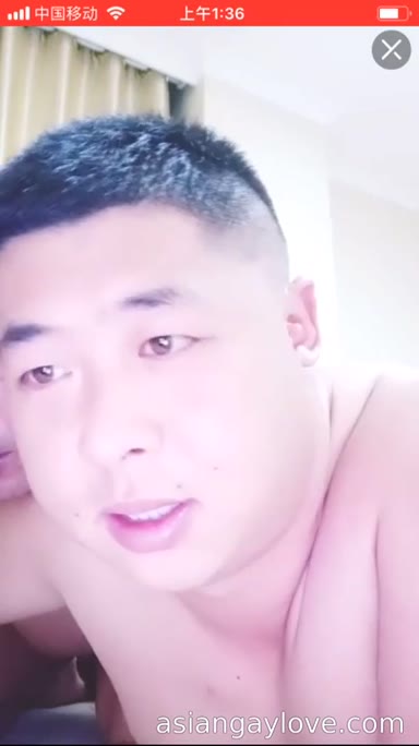 China_bear