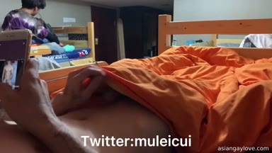 @muleicui