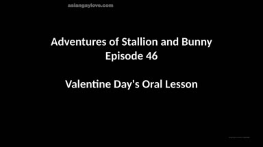 @stallion_bunny