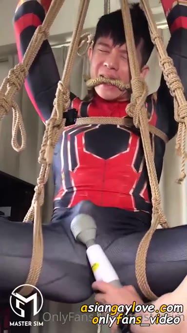 @mastersim