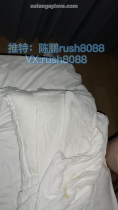 China_Bear