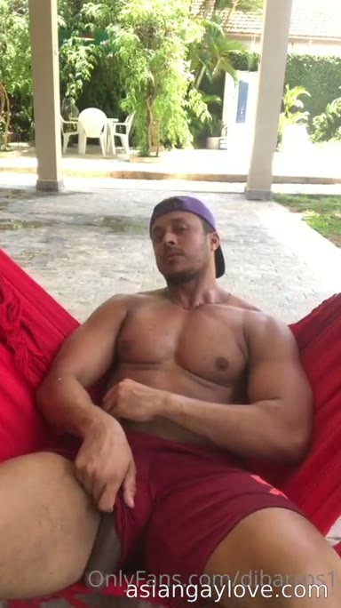 @dibarros1