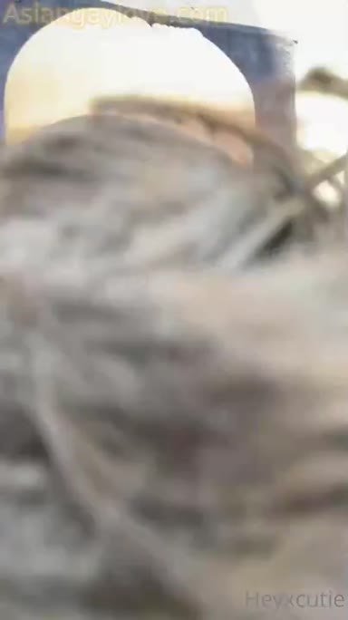 @heyxcutie