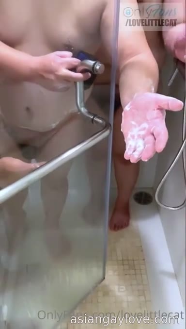 @lovelittlecat