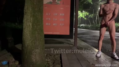 @muleicui