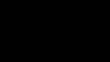 China_bear