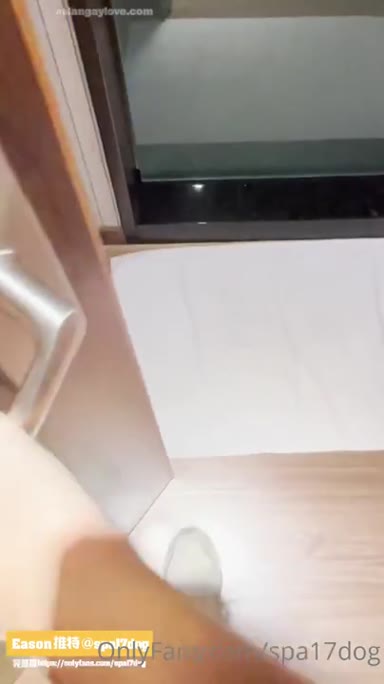 @spa17dog