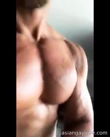 @dibarros1