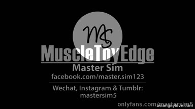 @mastersim