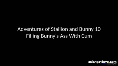 @stallion_bunny