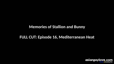 @stallion_bunny