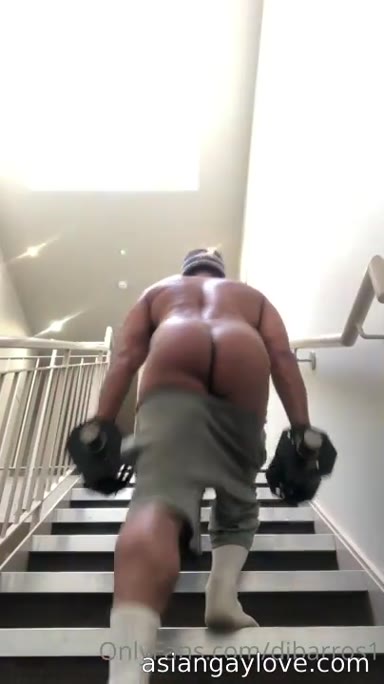 @dibarros1