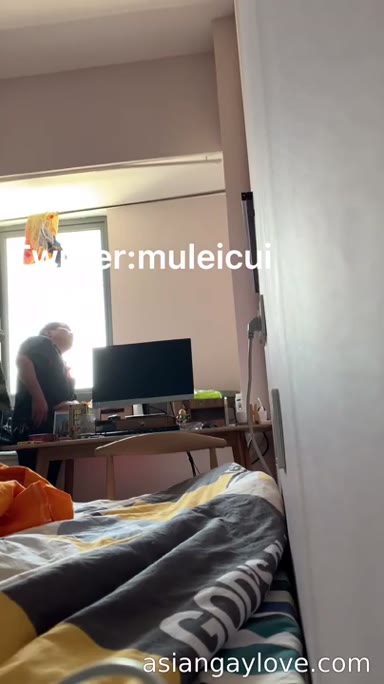@muleicui