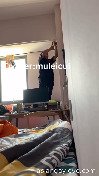 @muleicui
