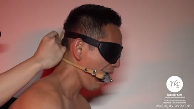 @mastersim