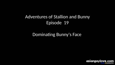@stallion_bunny