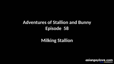 @stallion_bunny