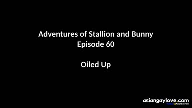 @stallion_bunny
