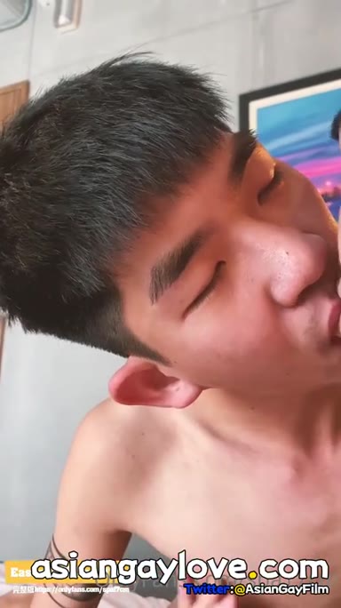 @spa17dog