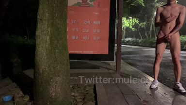@muleicui