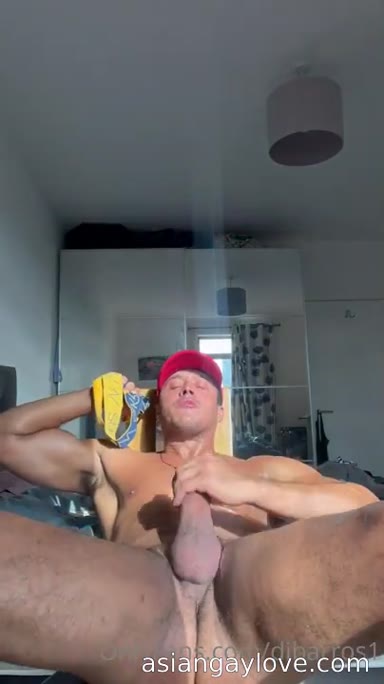 @dibarros1