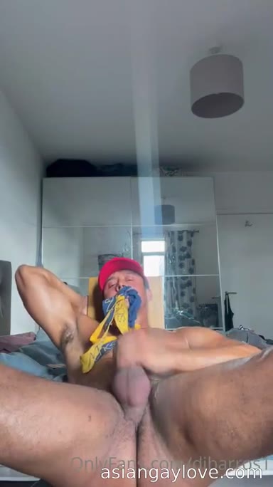 @dibarros1