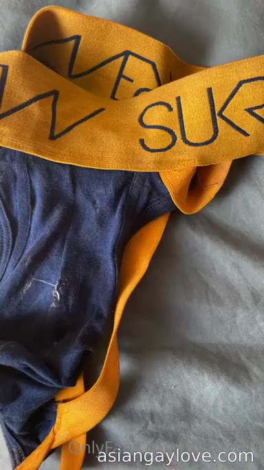 @dibarros1
