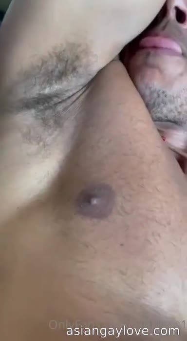 @dibarros1