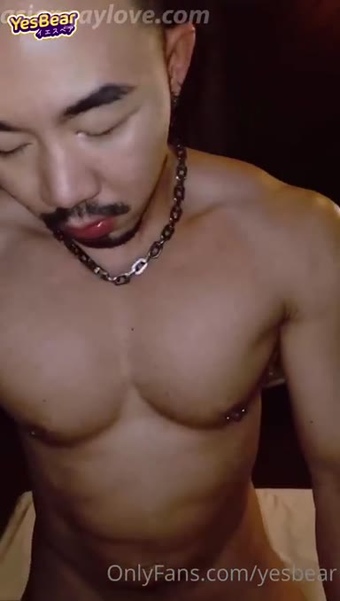 @yesbear