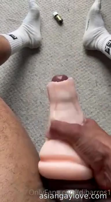 @dibarros1