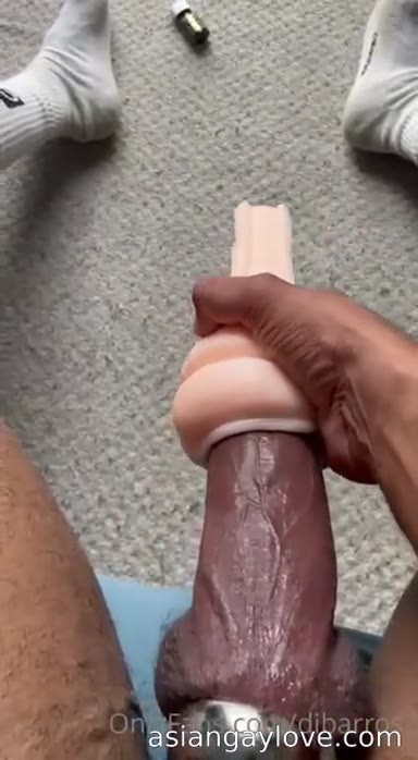 @dibarros1