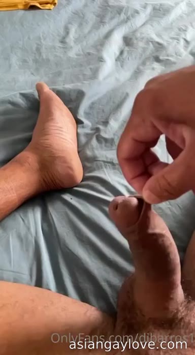 @dibarros1