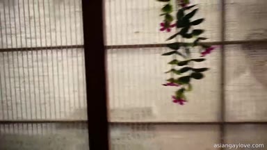 @raccoon1069