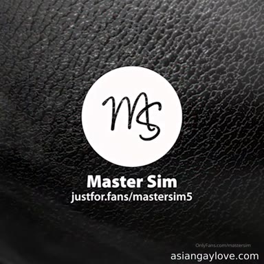 @mastersim